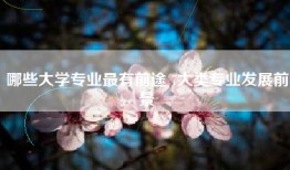 哪些大学专业最有前途 7大类专业发展前景
