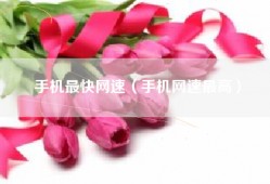 手机最快网速（手机网速最高）
