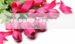 手机最快网速（手机网速最高）