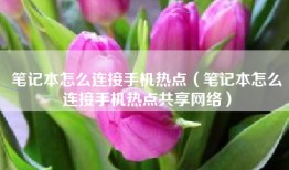 笔记本怎么连接手机热点（笔记本怎么连接手机热点共享网络）