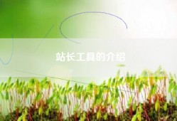 站长工具的介绍