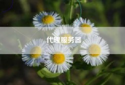 代理服务器