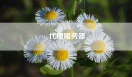 代理服务器