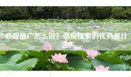 必应推广怎么做？必应搜索的优势是什么？