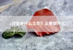 it行业是什么工作？主要做什么