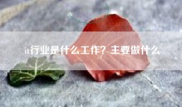 it行业是什么工作？主要做什么