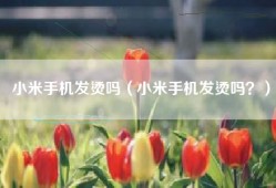 小米手机发烫吗（小米手机发烫吗？）
