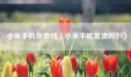 小米手机发烫吗(小米手机发烫吗?)