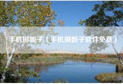 手机掷骰子（手机掷骰子软件免费）