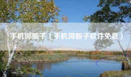 手机掷骰子（手机掷骰子软件免费）