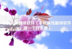 手机离线翻译软件（手机离线翻译软件哪一个好免费）