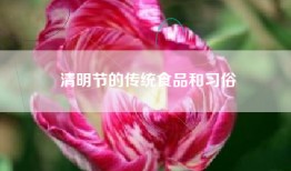 清明节的传统食品和习俗
