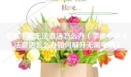 苹果手机无法激活怎么办（苹果手机无法激活怎么办如何解开无需电脑）