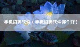手机招聘软件（手机招聘软件哪个好）