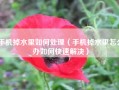 手机掉水里如何处理（手机掉水里怎么办如何快速解决）