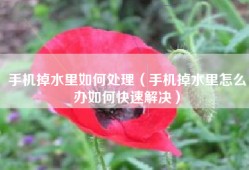 手机掉水里如何处理（手机掉水里怎么办如何快速解决）