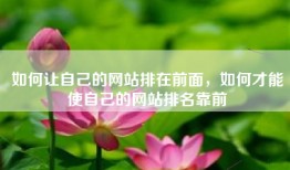 如何让自己的网站排在前面，如何才能使自己的网站排名靠前