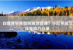 自媒体矩阵如何高效管理？小红书图文排版技巧分享