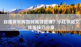 自媒体矩阵如何高效管理？小红书图文排版技巧分享