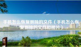 手机怎么恢复删除的文件(手机怎么恢复删除的文件和图片)