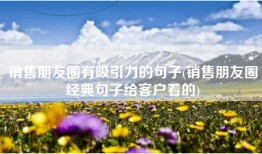 销售朋友圈有吸引力的句子(销售朋友圈经典句子给客户看的)