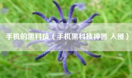 手机的黑科技（手机黑科技神器 入侵）