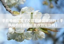 手机号被拉黑了发信息还能收到吗（手机号码拉黑后还能收到短信吗）