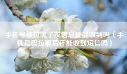 手机号被拉黑了发信息还能收到吗（手机号码拉黑后还能收到短信吗）