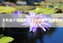 手机能不能换电池（手机能不能换电池呀）
