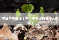 手机手势操作（手机手势操作是什么意思）