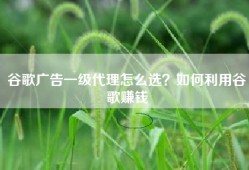 谷歌广告一级代理怎么选？如何利用谷歌赚钱