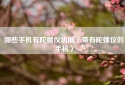 哪些手机有陀螺仪功能（带有陀螺仪的手机）