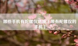哪些手机有陀螺仪功能（带有陀螺仪的手机）