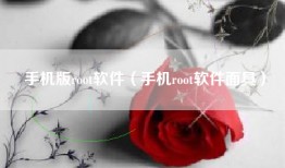 手机版root软件（手机root软件面具）