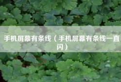 手机屏幕有条线（手机屏幕有条线一直闪）