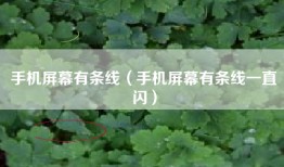 手机屏幕有条线（手机屏幕有条线一直闪）