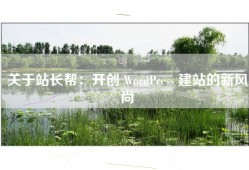关于站长帮：开创 WordPress 建站的新风尚