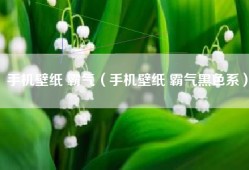 手机壁纸 霸气（手机壁纸 霸气黑色系）