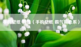 手机壁纸 霸气（手机壁纸 霸气黑色系）
