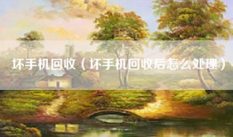 坏手机回收（坏手机回收后怎么处理）