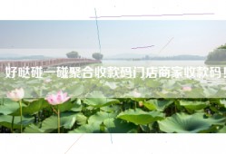好哒碰一碰聚合收款码门店商家收款码！