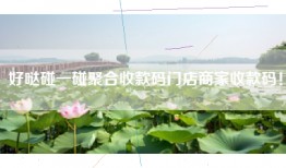 好哒碰一碰聚合收款码门店商家收款码！