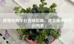 跨境电商平台选择指南，适合新手的平台列表