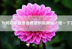 为何商家消费者愿意积极拥抱“碰一下？