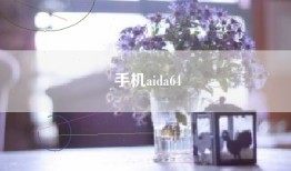 手机aida64
