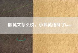 熊英文怎么说，小熊英语除了bear