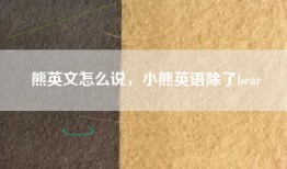 熊英文怎么说，小熊英语除了bear