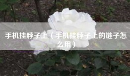 手机挂脖子上（手机挂脖子上的链子怎么用）