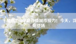 「聚焦」15个副省级城市接力！今天，沈阳登场