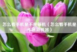 怎么看手机是不是新机（怎么看手机是不是新机器）